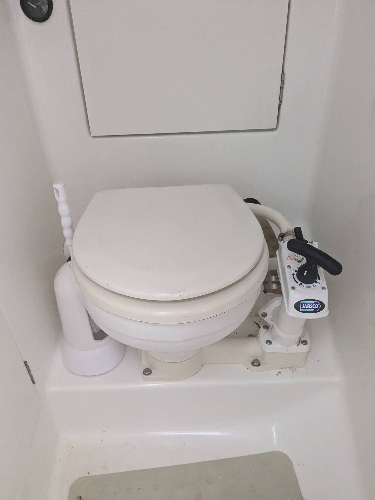 pxl 20240729 092006819